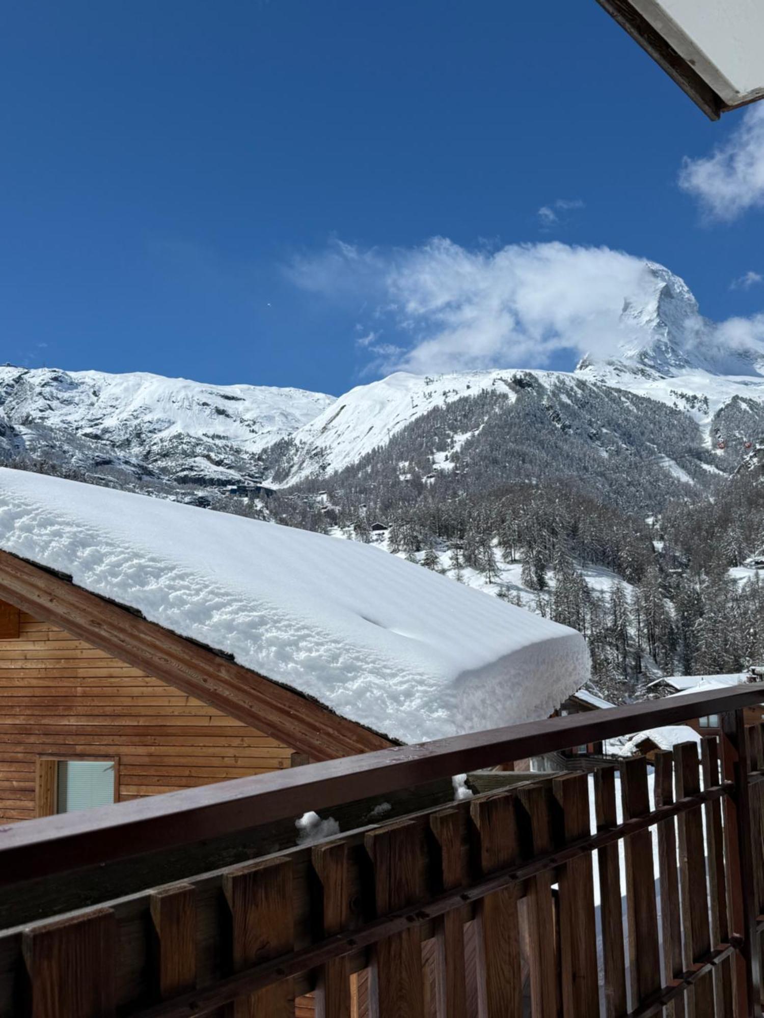 Matterhorn Panorama Apartment Zermatt Eksteriør billede